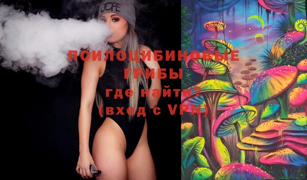крисы Арсеньев