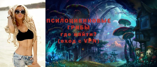 крисы Арсеньев